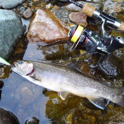 渓流ミノーイング